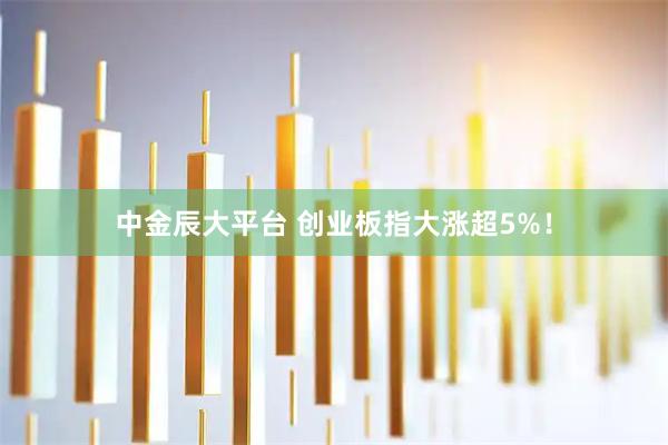 中金辰大平台 创业板指大涨超5%！