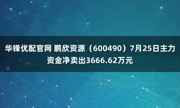 华锋优配官网 鹏欣资源（600490）7月25日主力资金净卖出3666.62万元