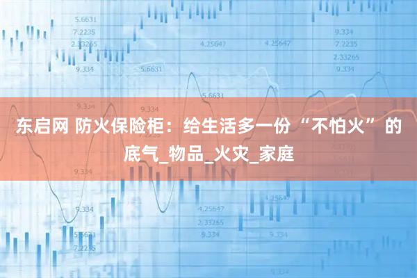 东启网 防火保险柜：给生活多一份 “不怕火” 的底气_物品_火灾_家庭