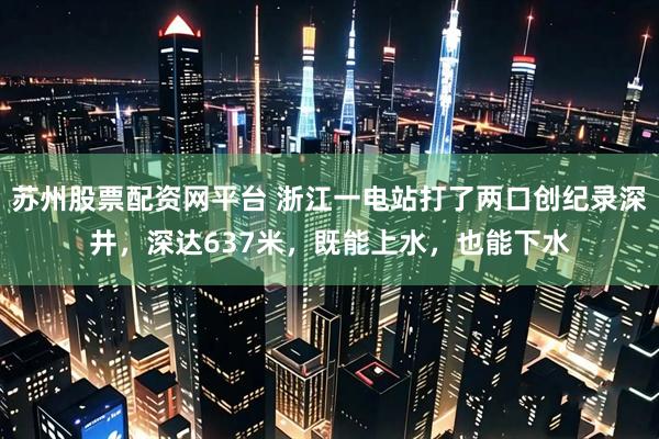 苏州股票配资网平台 浙江一电站打了两口创纪录深井,深达637米,既能上水,也能下水